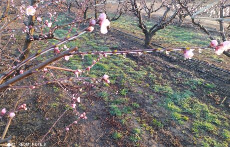 Sistemes de reg Hidraquatec Antigelada