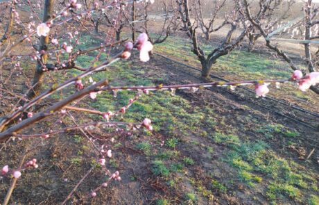 Sistemes de reg Hidraquatec Antigelada